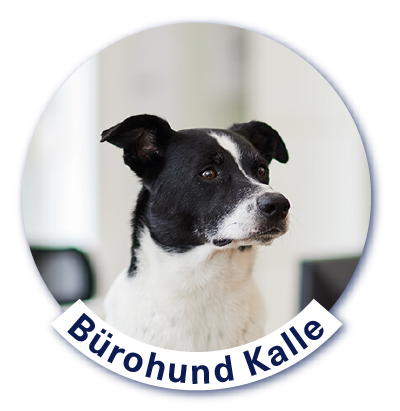 Bürohund Kalle bei HERZOG LEASING